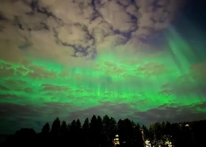 Lejlighed Walk To Everything